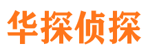 解放市侦探公司